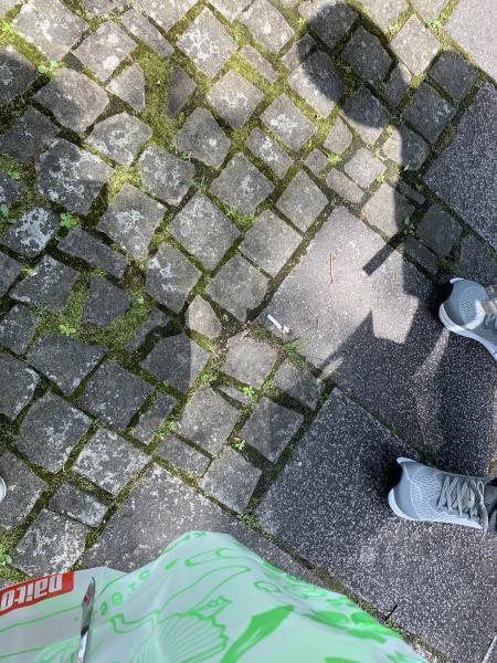 5/23 日曜昼間そうじ@佐賀市どん3の森画像