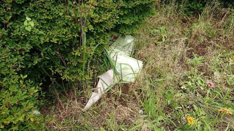 【井土ヶ谷】定期清掃画像