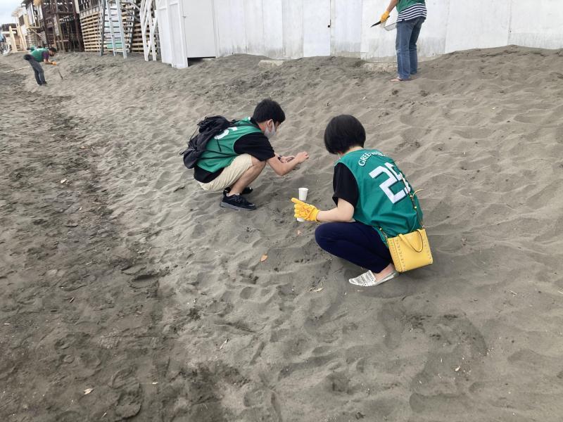 湘南海岸！江ノ島片瀬西浜ビーチクリーン！画像