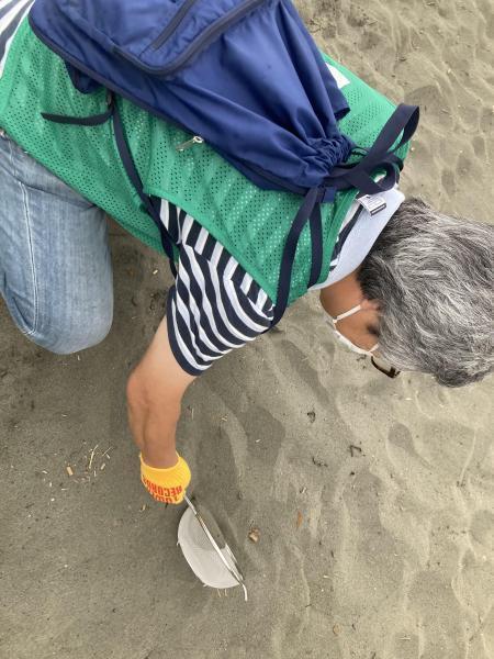 湘南海岸！江ノ島片瀬西浜ビーチクリーン！画像