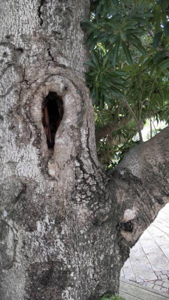 6/27(日)佐賀日曜昼前そうじ画像