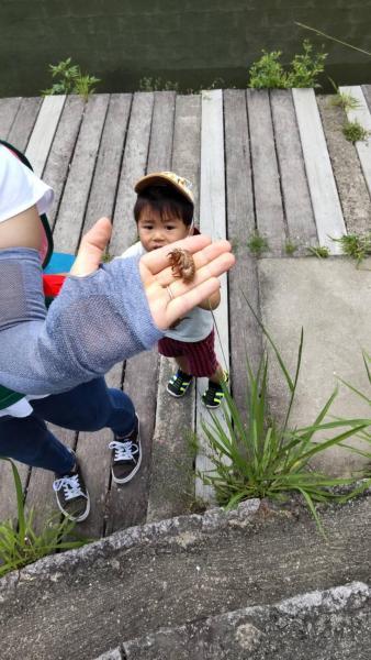 6/27(日)佐賀日曜昼前そうじ画像