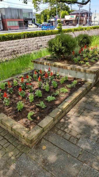 6/27(日)佐賀日曜昼前そうじ画像