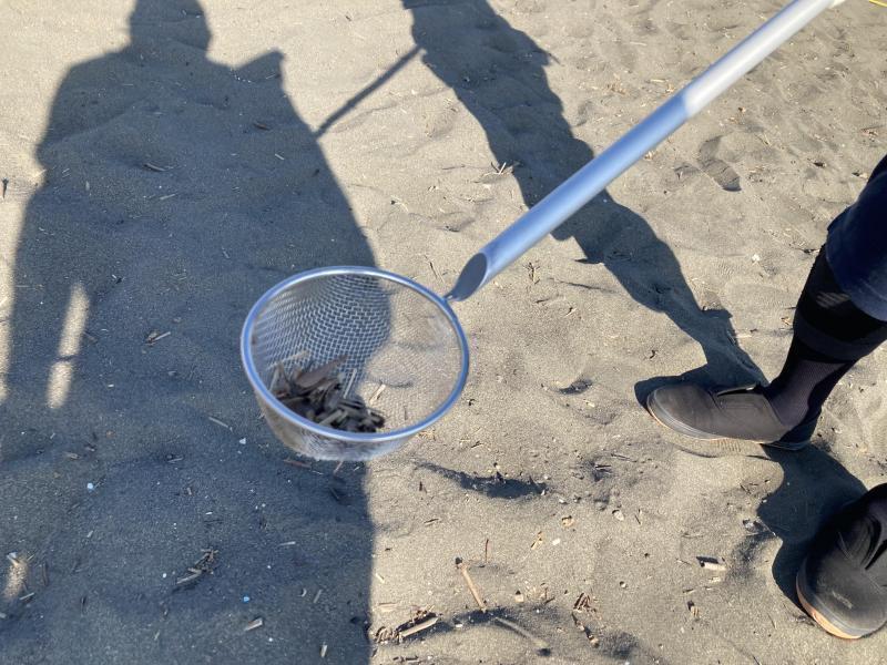 渋谷チーム&times;辻堂チーム　江ノ島片瀬西浜サンセットビーチクリーン！画像