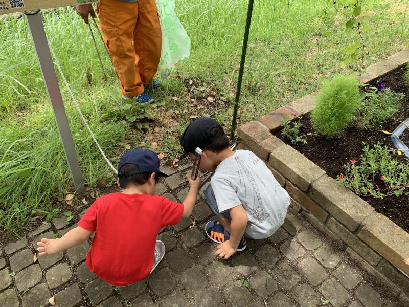 7/25(日)日曜昼前そうじ@佐賀どん3の森画像