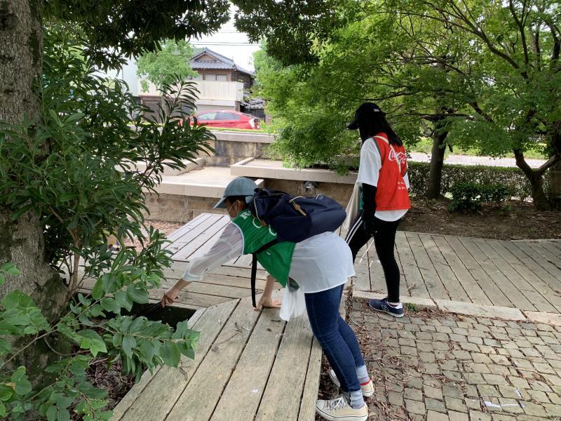 7/25(日)日曜昼前そうじ@佐賀どん3の森画像