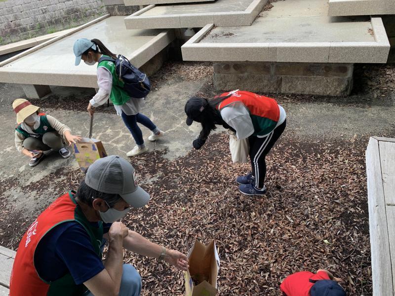 7/25(日)日曜昼前そうじ@佐賀どん3の森画像