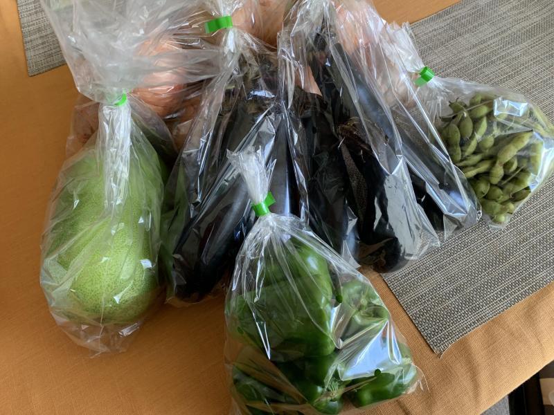 7/25(日)日曜昼前そうじ@佐賀どん3の森画像