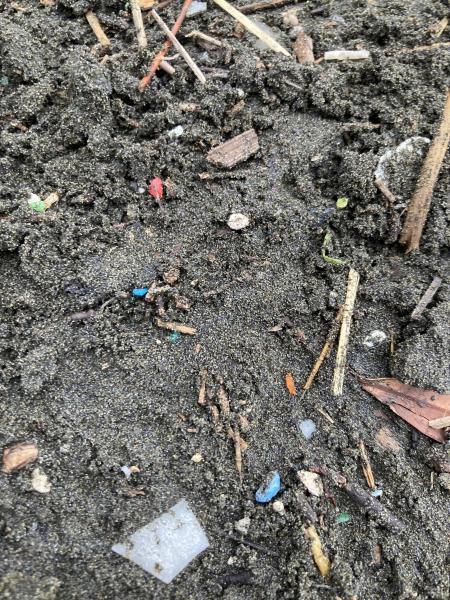 湘南！江ノ島片瀬西浜海岸サンセットビーチクリーン！画像