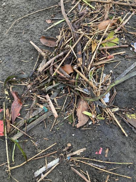 湘南！江ノ島片瀬西浜海岸サンセットビーチクリーン！画像