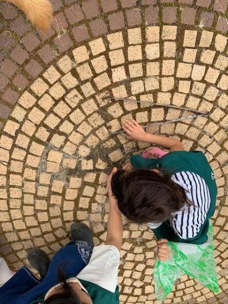 ブドウ畑とここ掘れワンワン画像