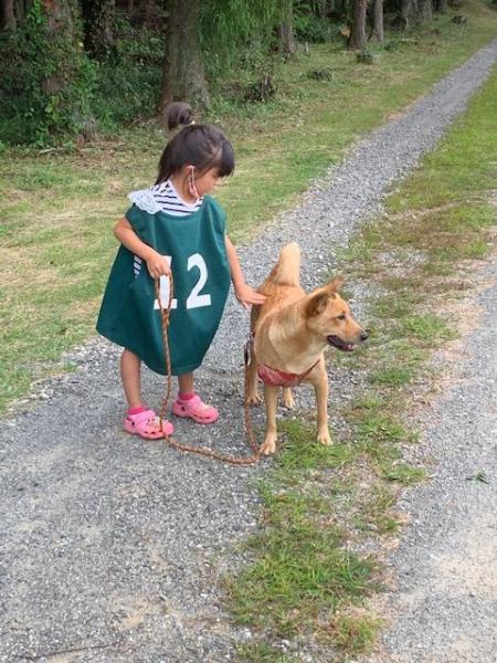 ブドウ畑とここ掘れワンワン画像