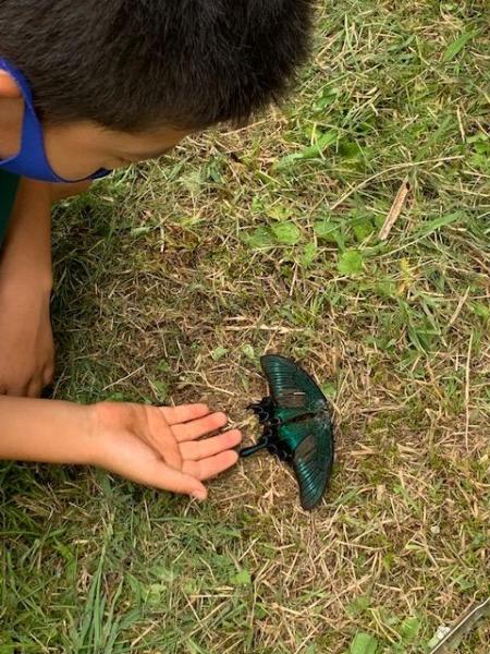 ブドウ畑とここ掘れワンワン画像