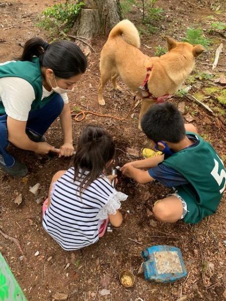 ブドウ畑とここ掘れワンワン画像