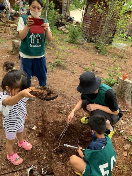 ブドウ畑とここ掘れワンワン画像