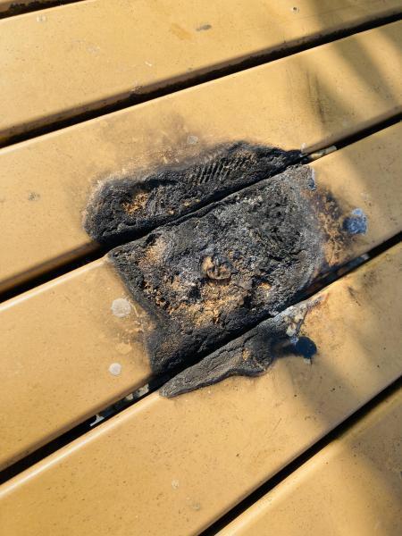 辻堂駅！神台公園街ゴミ拾い！画像