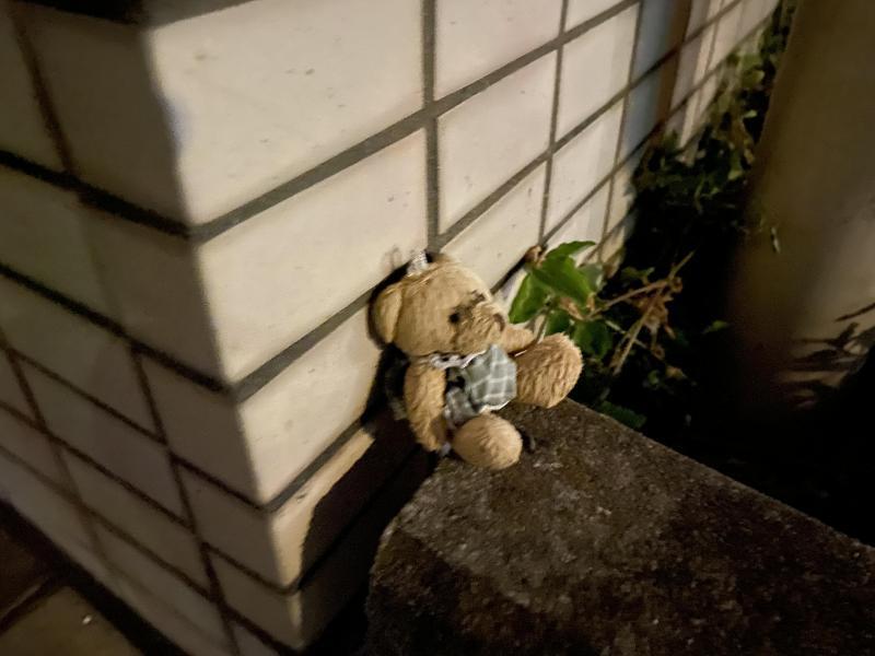 ひさしぶりのお掃除画像