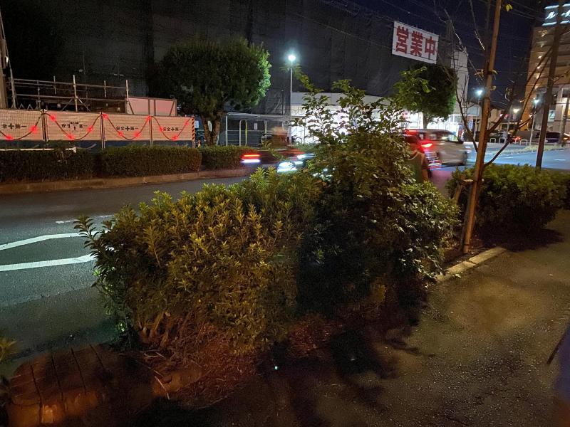 ひさしぶりのお掃除画像