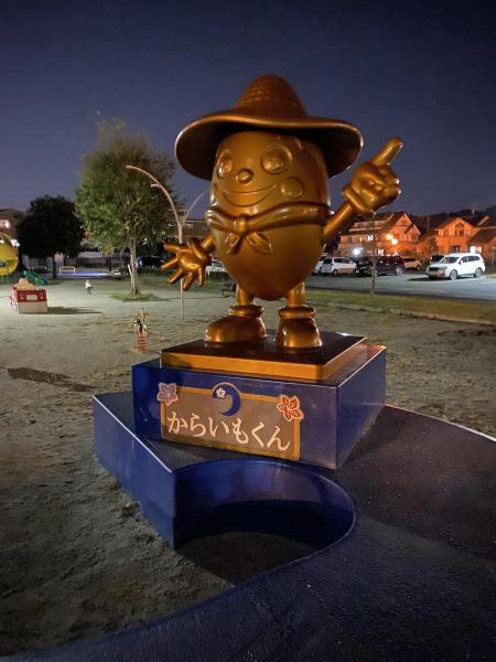 ひさしぶりのお掃除画像