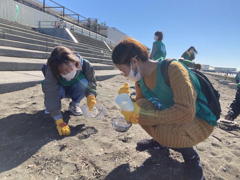 湘南！江の島片瀬西浜海岸ビーチクリーン！画像