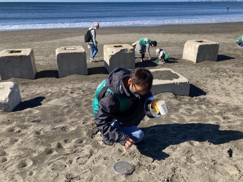湘南！江の島片瀬西浜海岸ビーチクリーン！画像