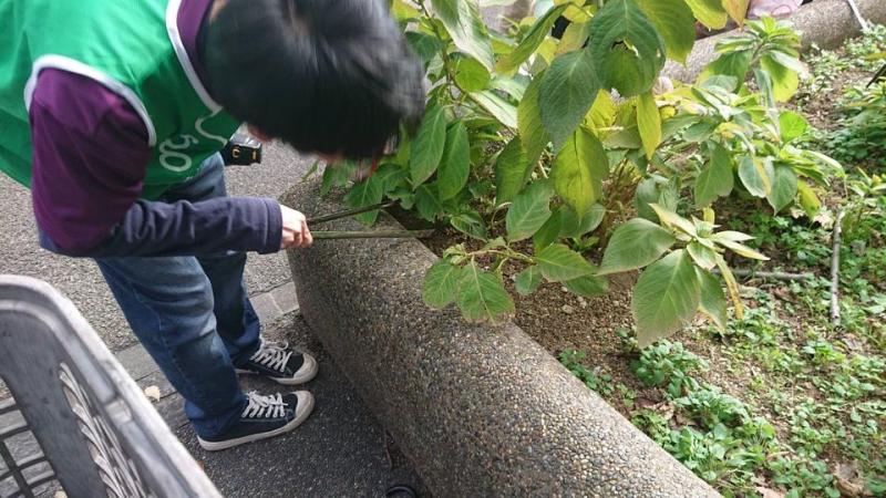 【蒔田】定期清掃画像