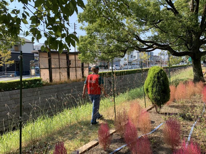 10/31(日)日曜昼前そうじ@佐賀市どん3の森画像