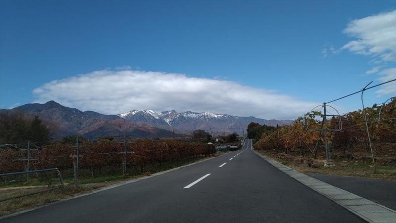 秋が深まってきました。画像