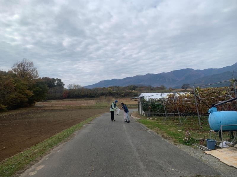 秋が深まってきました。画像