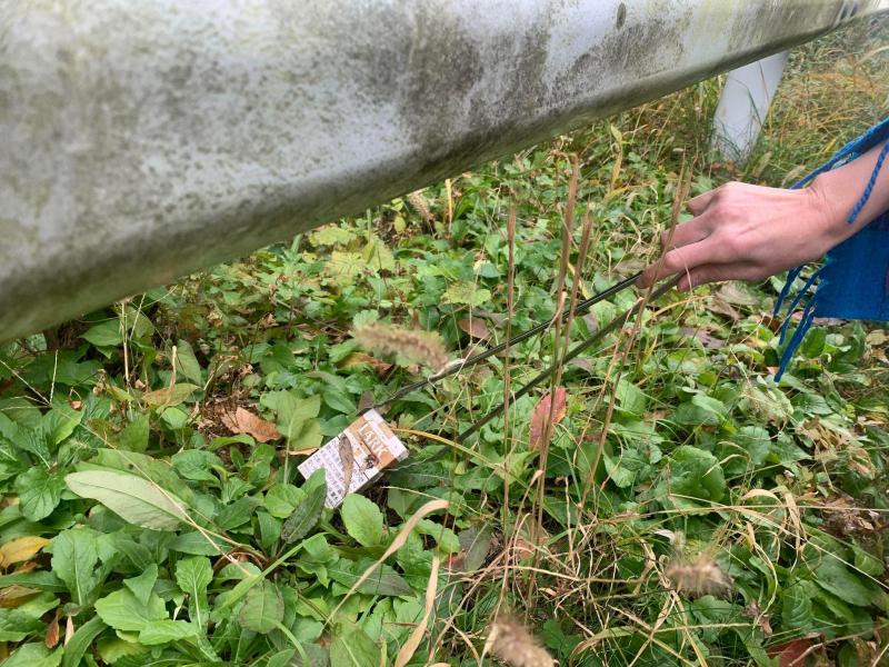 秋が深まってきました。画像