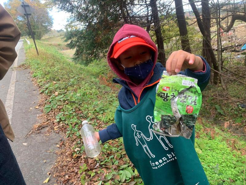 秋が深まってきました。画像