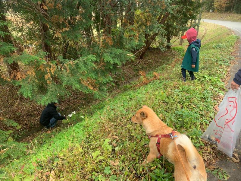 秋が深まってきました。画像