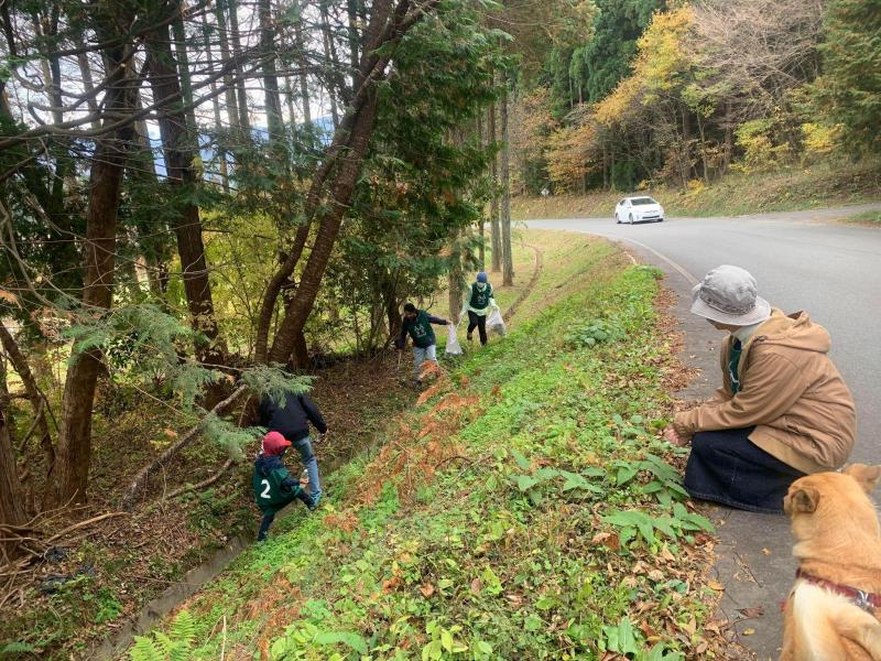秋が深まってきました。画像