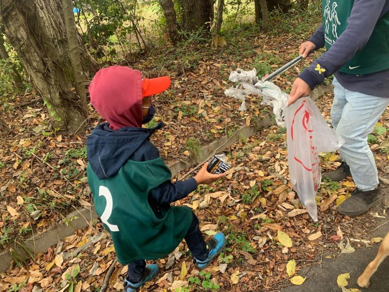 秋が深まってきました。画像