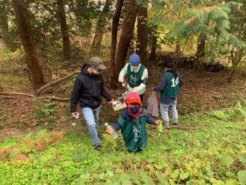 秋が深まってきました。画像