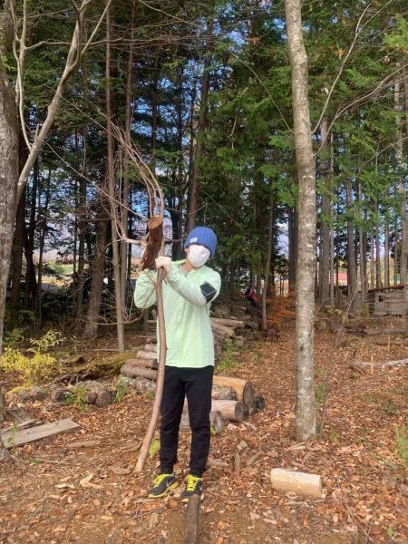 秋が深まってきました。画像