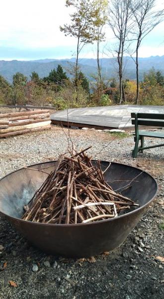 秋が深まってきました。画像