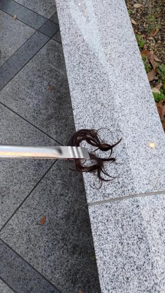 【北新地】きらびやかでゴージャス☆な定例おそうじ【11月第4土曜日】画像