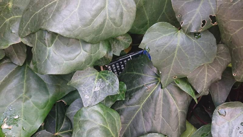 【杉田】定期清掃画像