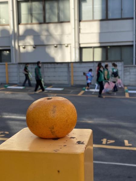 無理は禁物画像