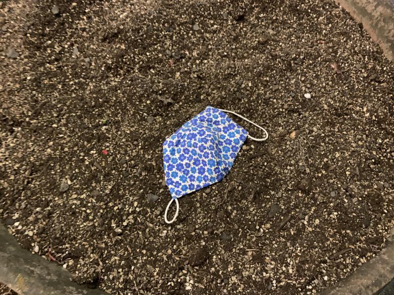 12/15(水)佐賀まちなか夜そうじ画像