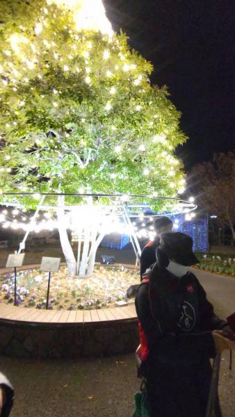 12/15(水)佐賀まちなか夜そうじ画像