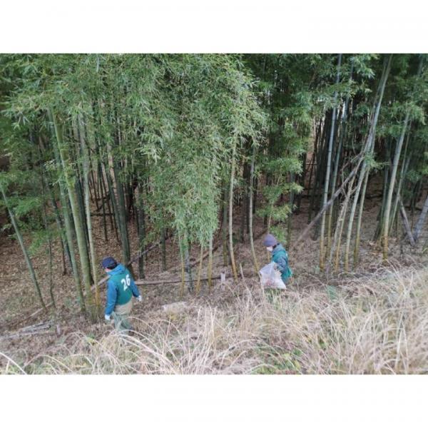 美しい村を美しいままに。画像