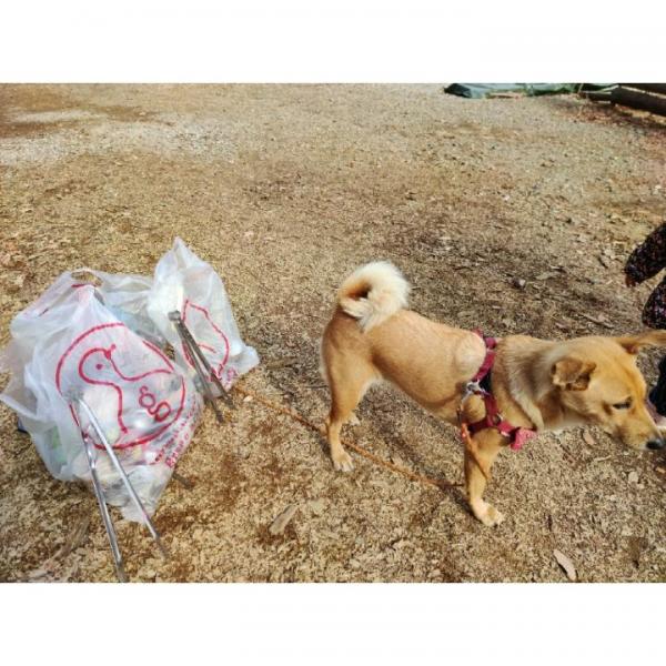 美しい村を美しいままに。画像