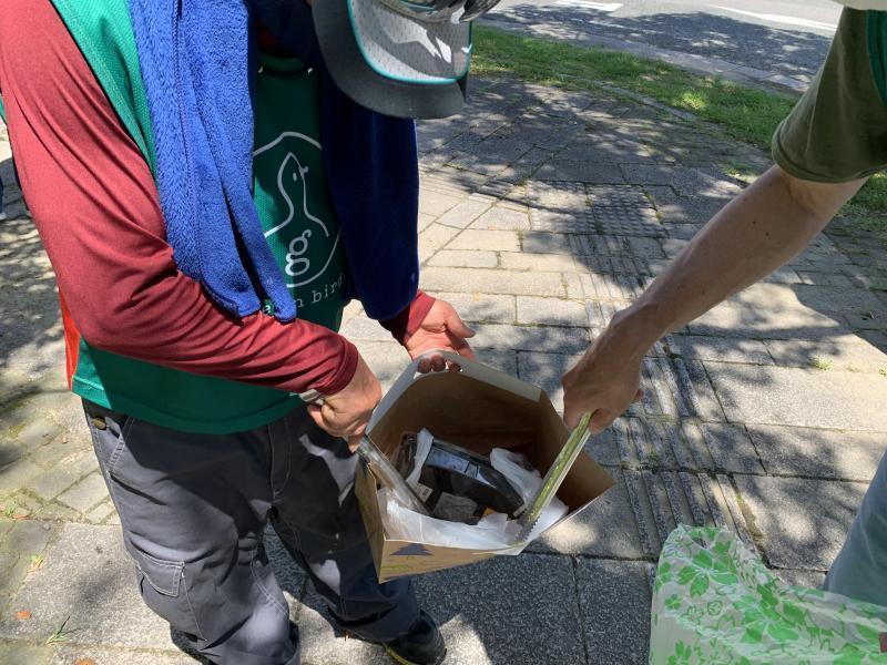 8/29(日)日曜昼前そうじ画像