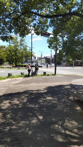 8/29(日)日曜昼前そうじ画像