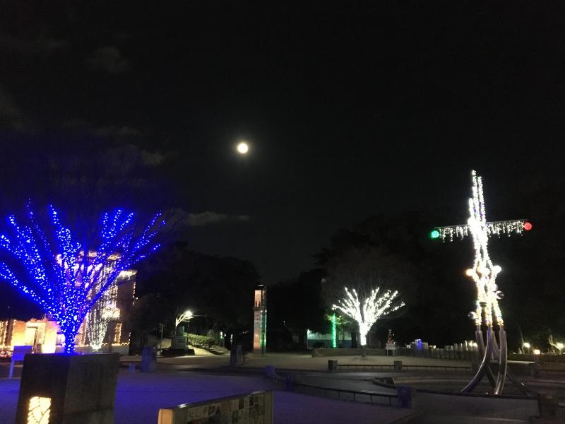 やっちゃいました。画像