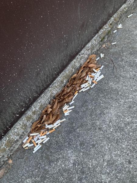 【北新地】はやちゃんリーダーの定例おそうじ【1月第4土曜日】画像