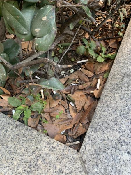 【北新地】はやちゃんリーダーの定例おそうじ【1月第4土曜日】画像