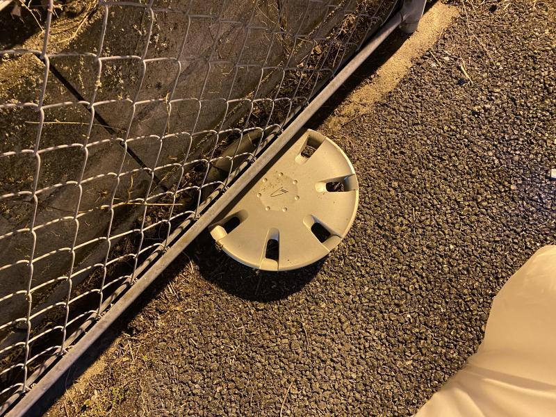 いつかコラボしたい！ゾロ像が来る公園で！画像